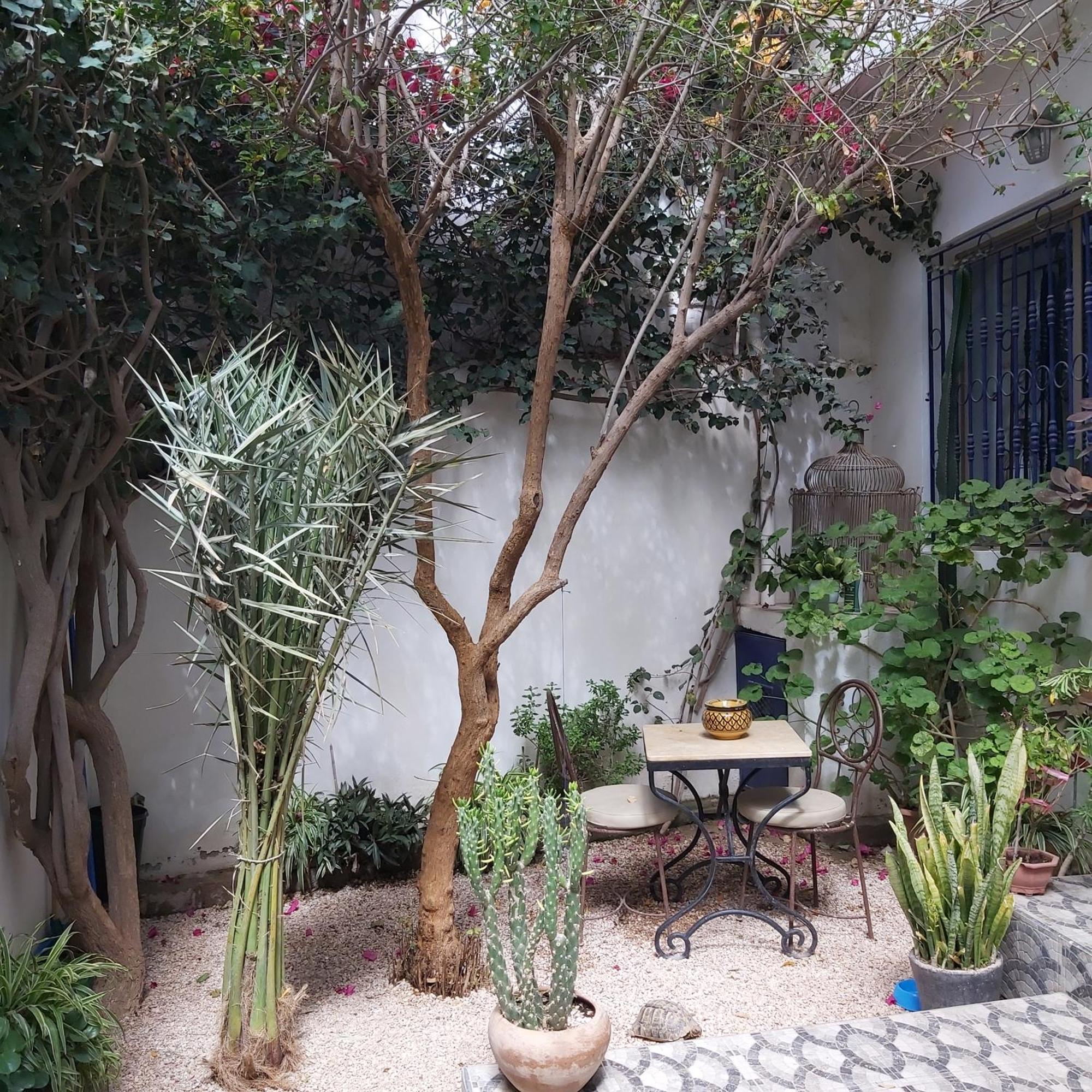 Villa Michel Tamraght エクステリア 写真